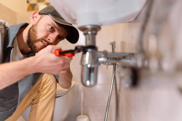 Best Clogged Drain Plumber  in Forest Heights, TX